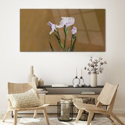 Glasbild Irisblüten auf braunem Hintergrund