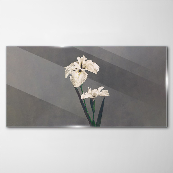 Glasbild Weiße Schwertlilien auf grauem Hintergrund