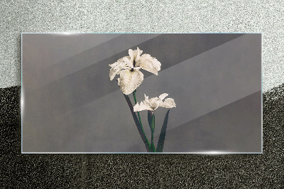 Glasbild Weiße Schwertlilien auf grauem Hintergrund