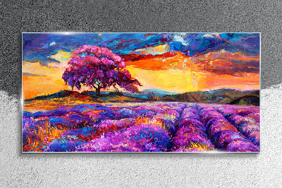 Glasbild Lila Lavendelfelder bei Sonnenuntergang