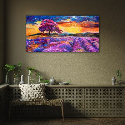 Glasbild Lila Lavendelfelder bei Sonnenuntergang