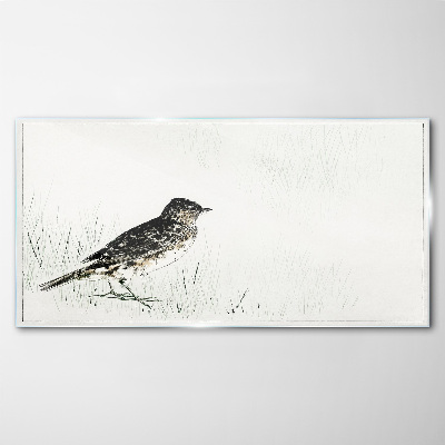 Glasbild Vogel auf dem Grashintergrund