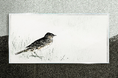 Glasbild Vogel auf dem Grashintergrund