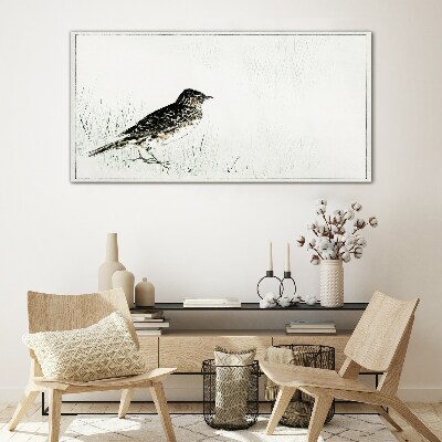 Glasbild Vogel auf dem Grashintergrund