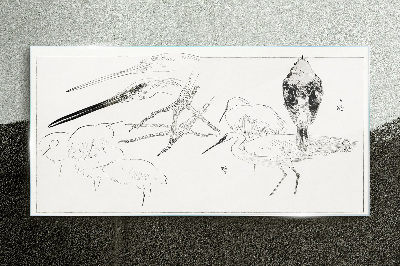 Glasbild Vögel auf Wanderschaft