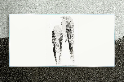 Glasbild Zwei Vögel auf weißem Hintergrund