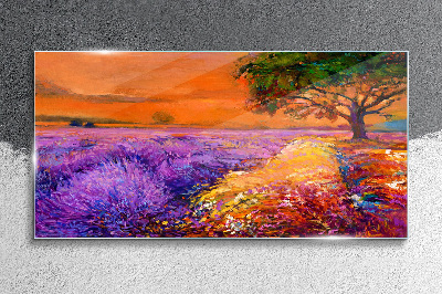 Bild auf glas Lavendelfelder im Sonnenuntergang