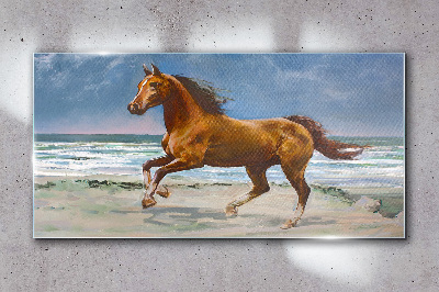 Glasbild Strand Küste Pferd Meereswellen