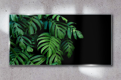 Glasbild Grüne Blätter auf schwarzem Hintergrund