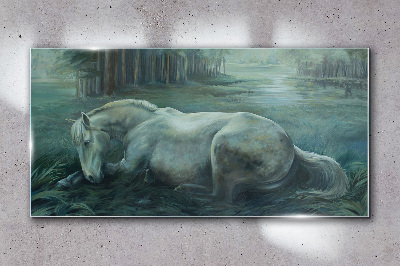 Glasbild Ein ruhiges Pferd in einer Waldlandschaft