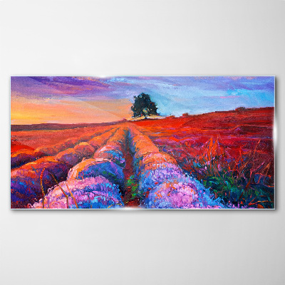 Bild auf glas Landschaft mit Lavendelfeldern bei Sonnenuntergang