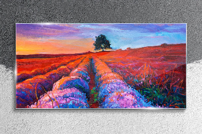 Bild auf glas Landschaft mit Lavendelfeldern bei Sonnenuntergang
