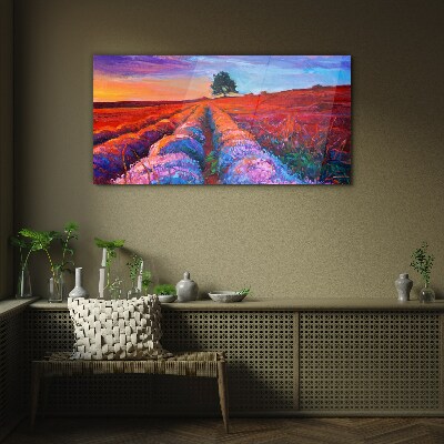 Bild auf glas Landschaft mit Lavendelfeldern bei Sonnenuntergang