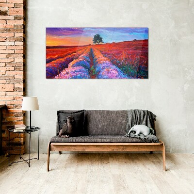Bild auf glas Landschaft mit Lavendelfeldern bei Sonnenuntergang