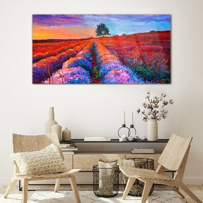 Bild auf glas Landschaft mit Lavendelfeldern bei Sonnenuntergang