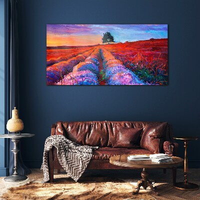 Bild auf glas Landschaft mit Lavendelfeldern bei Sonnenuntergang