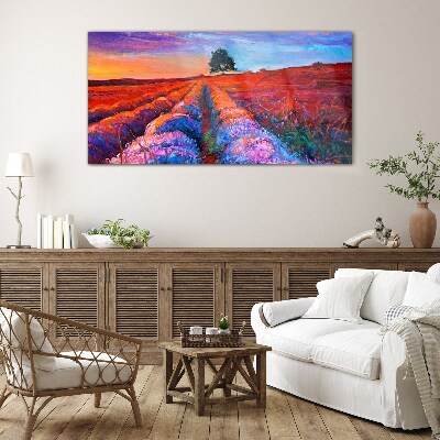 Bild auf glas Landschaft mit Lavendelfeldern bei Sonnenuntergang