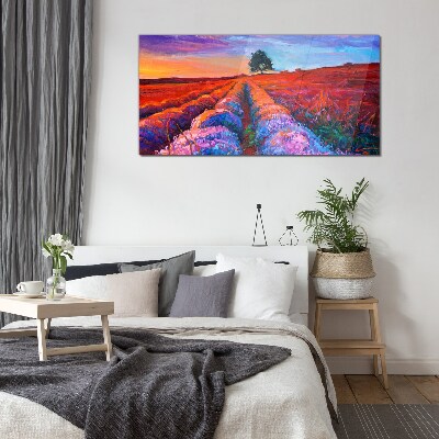 Bild auf glas Landschaft mit Lavendelfeldern bei Sonnenuntergang
