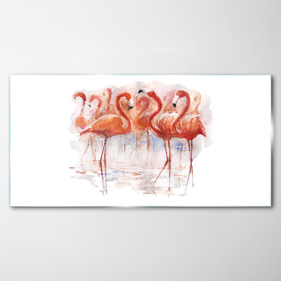 Glasbild Flamingos auf dem Wasserhintergrund