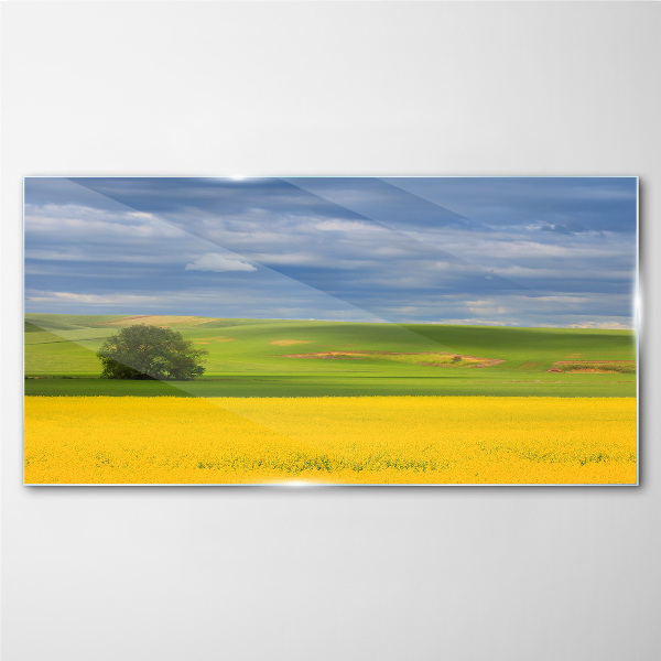 Glasbild Gelbe Felder unter blauem Himmel