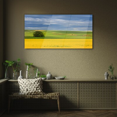 Glasbild Gelbe Felder unter blauem Himmel