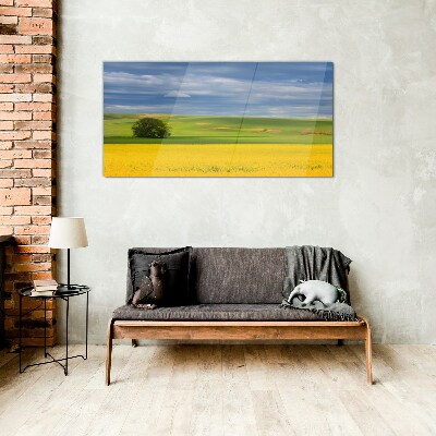 Glasbild Gelbe Felder unter blauem Himmel