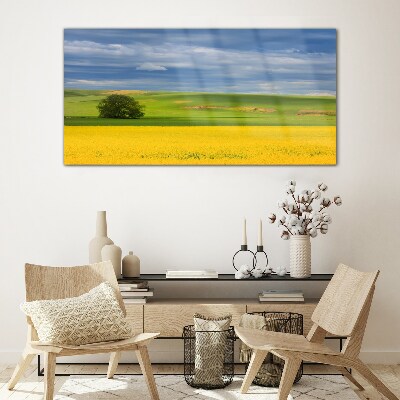 Glasbild Gelbe Felder unter blauem Himmel