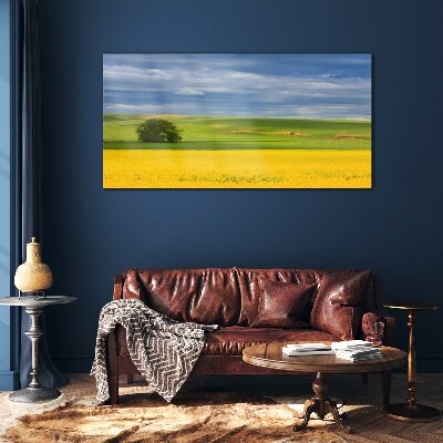 Glasbild Gelbe Felder unter blauem Himmel