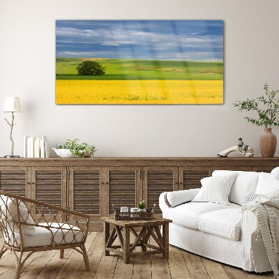 Glasbild Gelbe Felder unter blauem Himmel