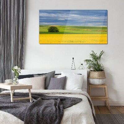 Glasbild Gelbe Felder unter blauem Himmel