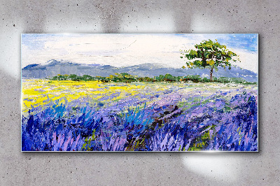 Glasbild Lavendelfelder im Tageslicht