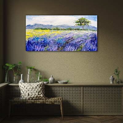 Glasbild Lavendelfelder im Tageslicht