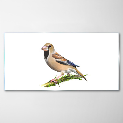 Glasbild Ein Vogel auf einem Ast