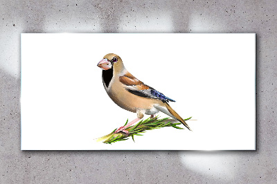 Glasbild Ein Vogel auf einem Ast