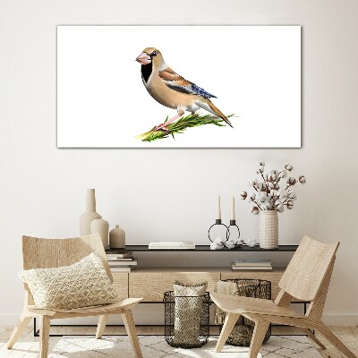 Glasbild Ein Vogel auf einem Ast