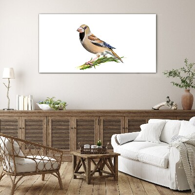 Glasbild Ein Vogel auf einem Ast