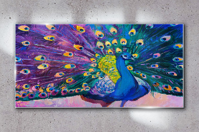 Bild auf glas Ein bunter Pfau in Frühlingsaura