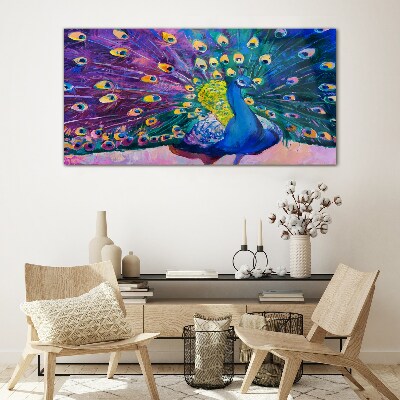 Bild auf glas Ein bunter Pfau in Frühlingsaura