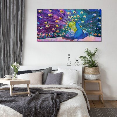 Bild auf glas Ein bunter Pfau in Frühlingsaura