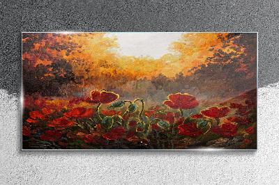 Foto auf glas Goldene Mohnblumen im Morgenlicht