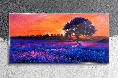 Glasbild Sonnenuntergang über einem lila Feld