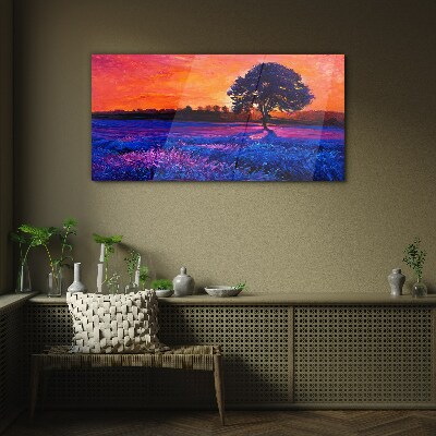 Glasbild Sonnenuntergang über einem lila Feld