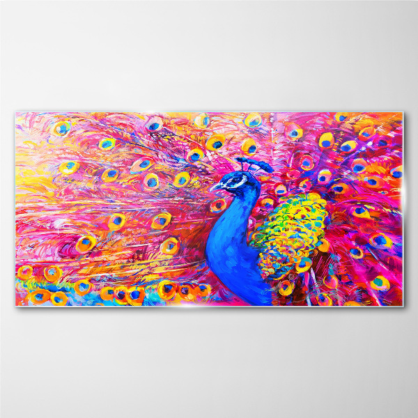 Bild auf glas Bunter Pfau im Frühlingsglanz
