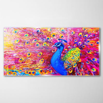 Bild auf glas Bunter Pfau im Frühlingsglanz