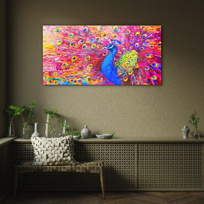 Bild auf glas Bunter Pfau im Frühlingsglanz