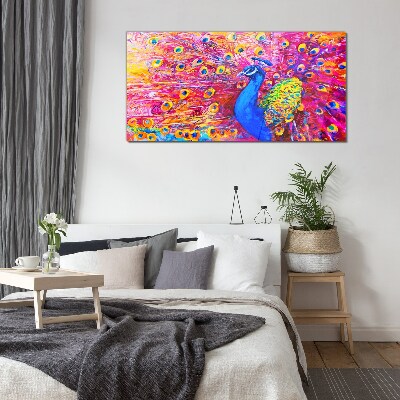 Bild auf glas Bunter Pfau im Frühlingsglanz