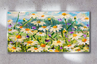 Glasbild Ein Blumenparadies in der Sommersonne