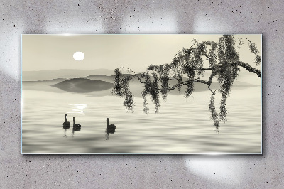 Bild auf glas Stille am Wasser