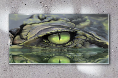 Bild auf glas drucken Froschauge in Wasserreflexion