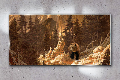 Glasbild Grizzly in einer Berglandschaft